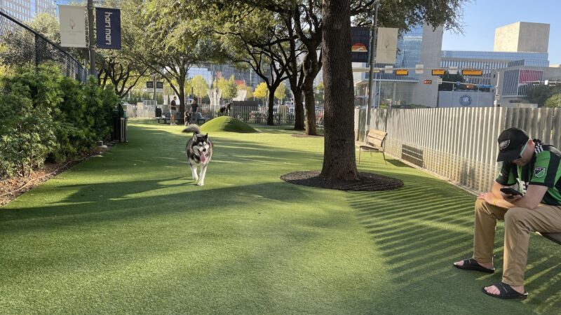 My Best Friend's Park - Dallas, TX