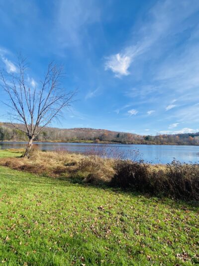 Lackawanna state park - Dalton, PA