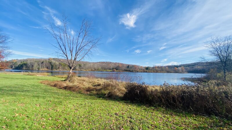Lackawanna state park - Dalton, PA