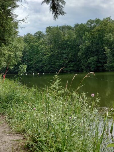 Lackawanna state park - Dalton, PA