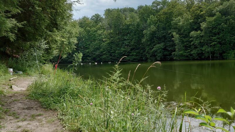 Lackawanna state park - Dalton, PA