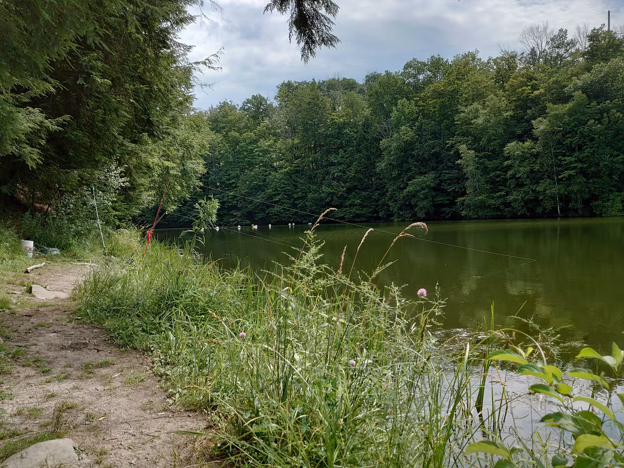 Lackawanna state park - Dalton, PA