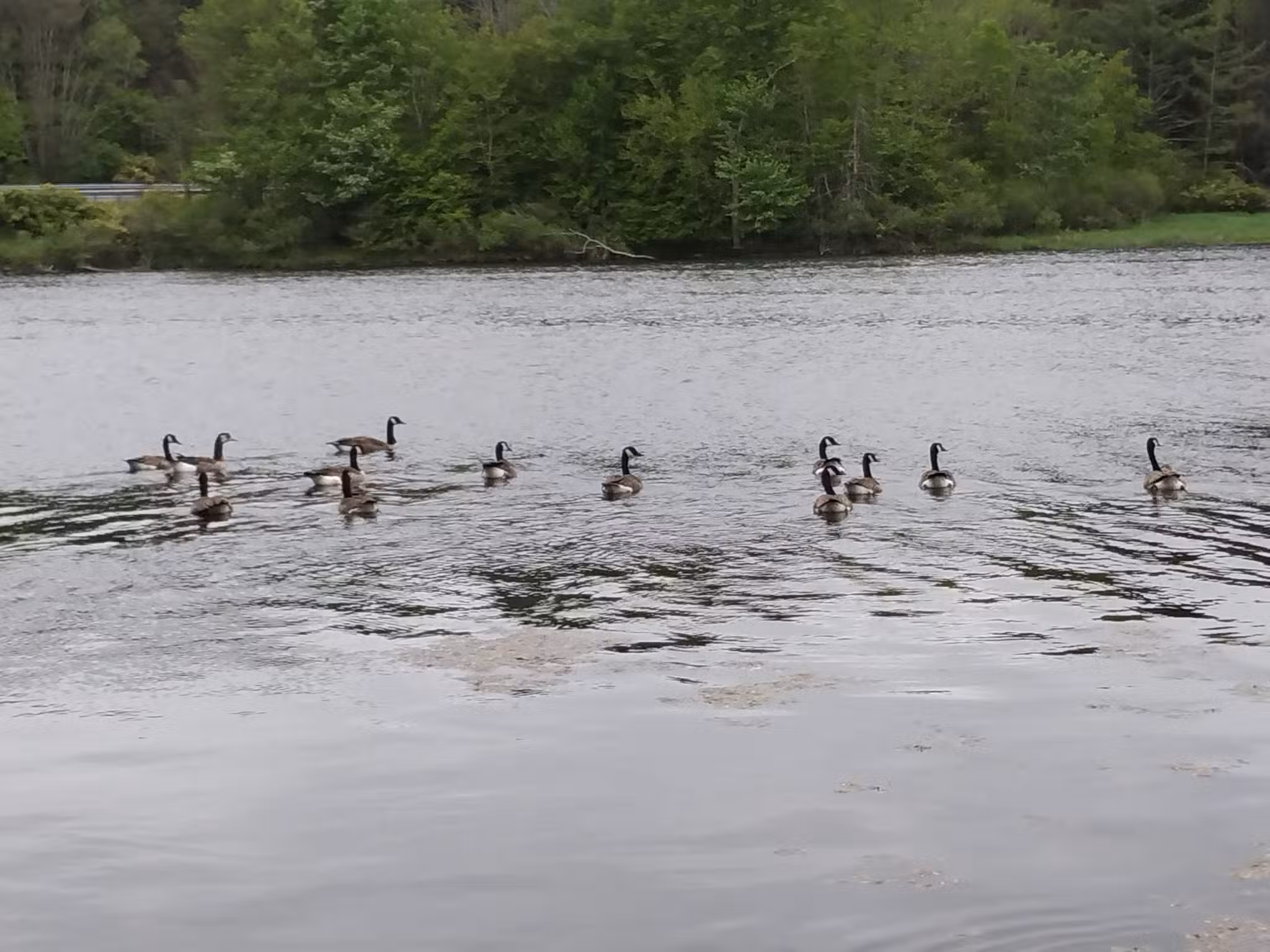 Lackawanna state park - Dalton, PA