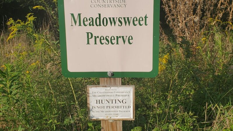 Meadowsweet Preserve - Dalton, PA