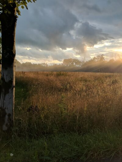 Meadowsweet Preserve - Dalton, PA