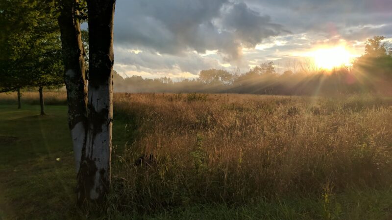Meadowsweet Preserve - Dalton, PA