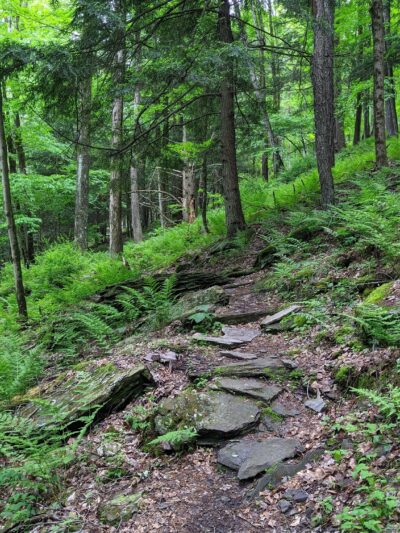 Meadowsweet Preserve - Dalton, PA