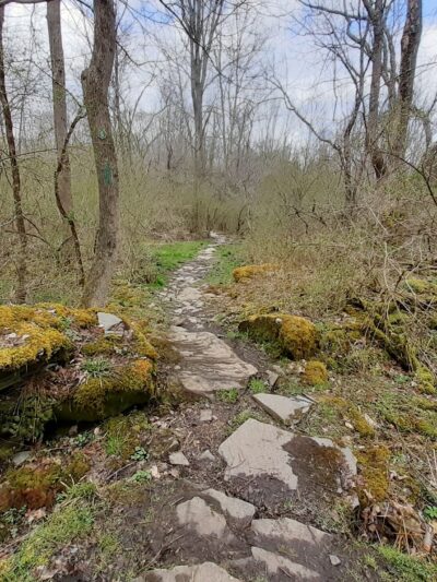 Meadowsweet Preserve - Dalton, PA