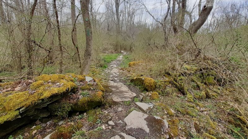 Meadowsweet Preserve - Dalton, PA