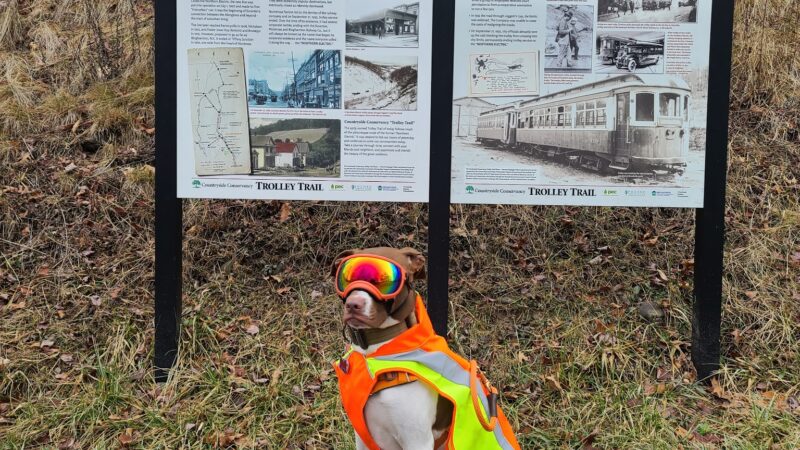 Roz peck memorial trailhead - Dalton, PA
