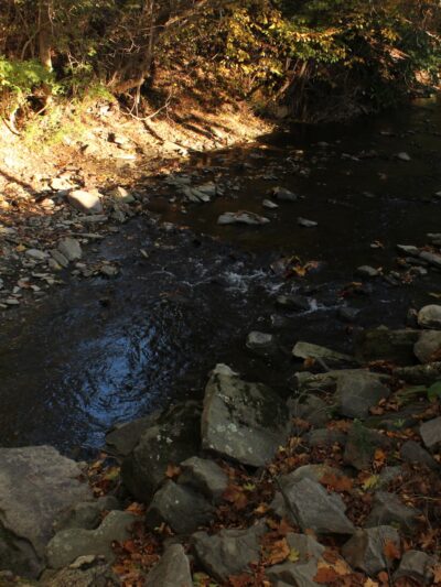 Stream Side Park - Dalton, PA