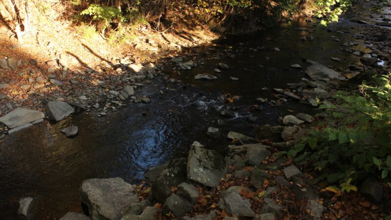 Stream Side Park - Dalton, PA
