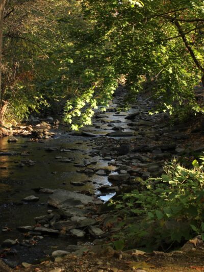Stream Side Park - Dalton, PA
