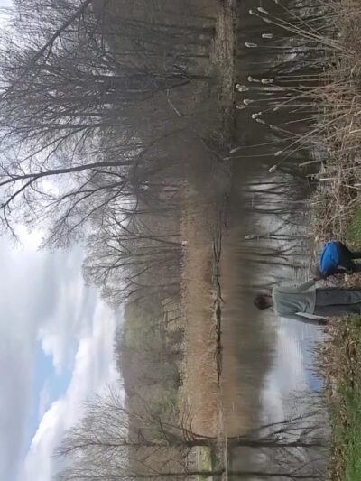 Rogers Park - Danbury, CT