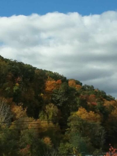 Wooster Mountain State Park Scenic Reserve - Danbury, CT