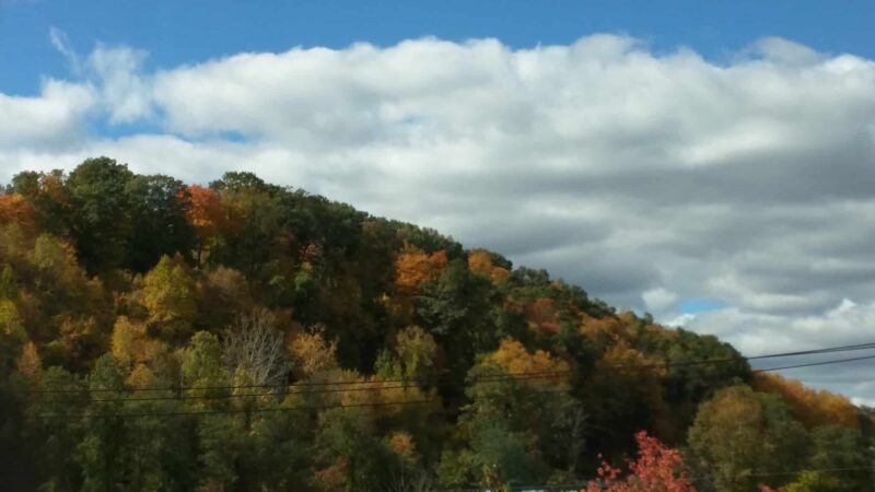 Wooster Mountain State Park Scenic Reserve - Danbury, CT