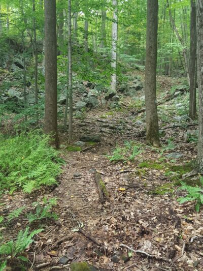 Wooster Mountain State Park Scenic Reserve - Danbury, CT