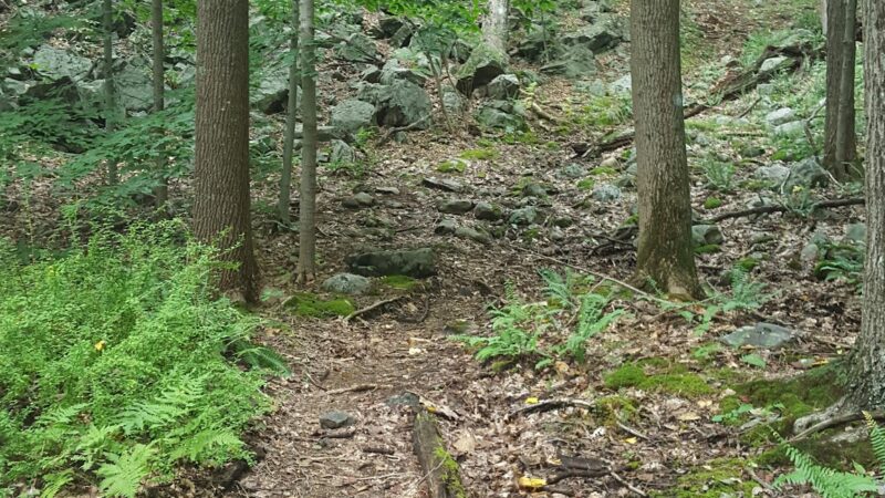 Wooster Mountain State Park Scenic Reserve - Danbury, CT
