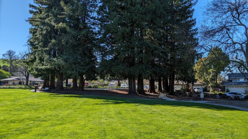 Danville South Park - Danville, CA