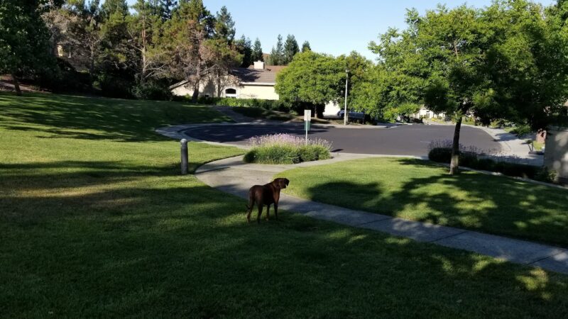 Dunhill Court Park - Danville, CA