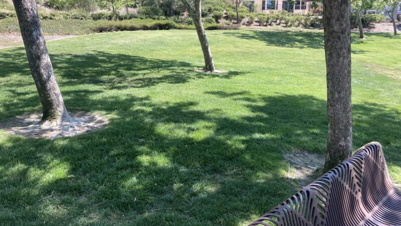 Dunhill Court Park - Danville, CA