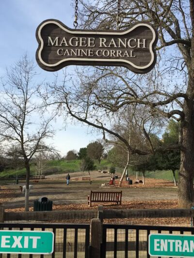 Hap Magee Ranch Park - Danville, CA
