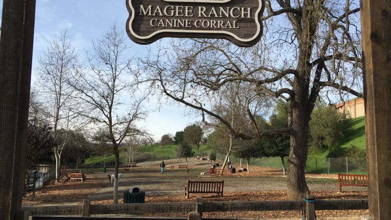 Hap Magee Ranch Park - Danville, CA