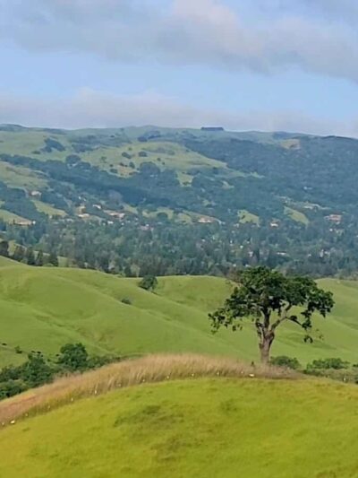 Shady slope trailhead - Danville, CA