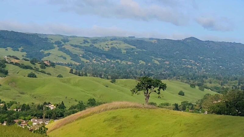 Shady slope trailhead - Danville, CA