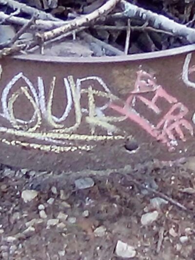 Lake Vermilion County Park - Danville, IL