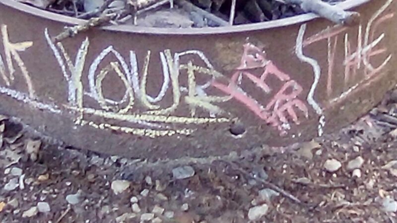 Lake Vermilion County Park - Danville, IL