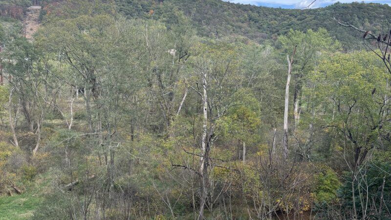 J. Manley Robbins Trailhead - Danville, PA