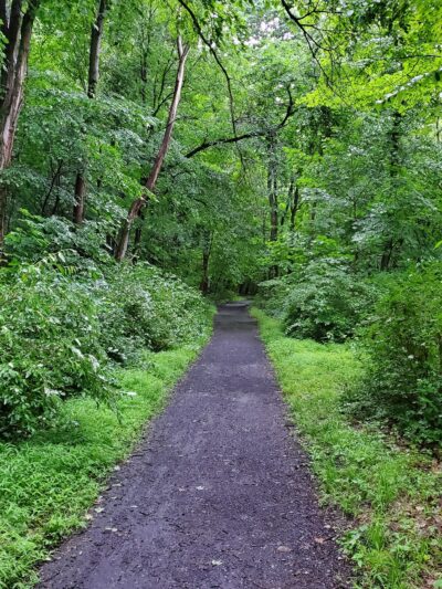 J. Manley Robbins Trailhead - Danville, PA