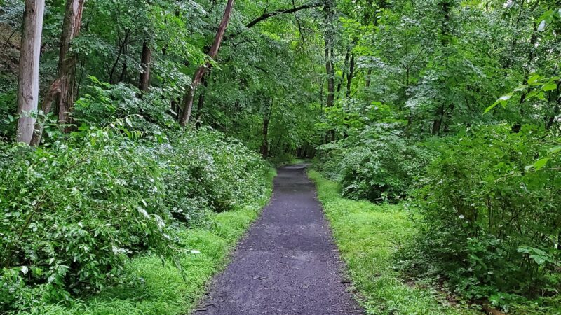 J. Manley Robbins Trailhead - Danville, PA
