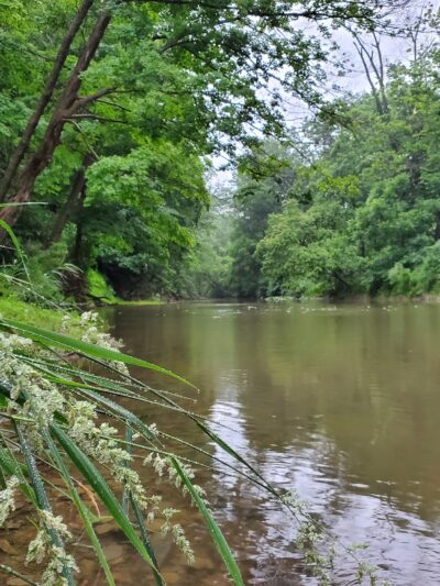 J. Manley Robbins Trailhead - Danville, PA