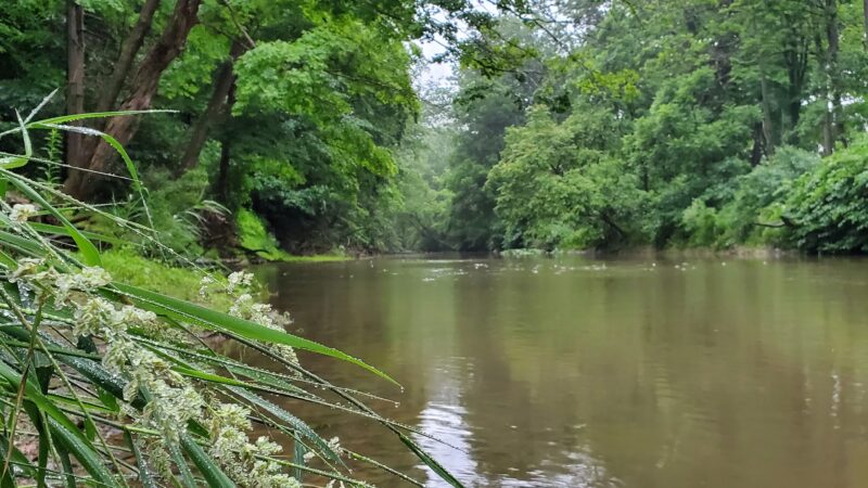 J. Manley Robbins Trailhead - Danville, PA