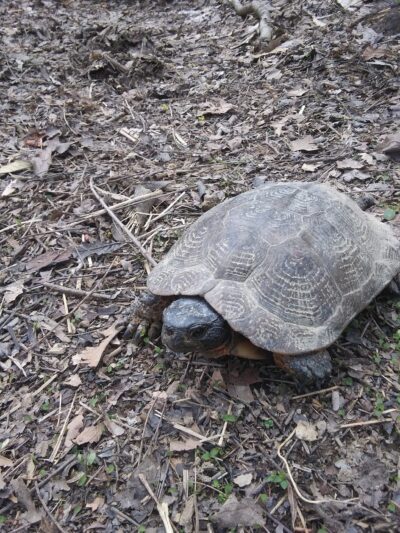J. Manley Robbins Trailhead - Danville, PA