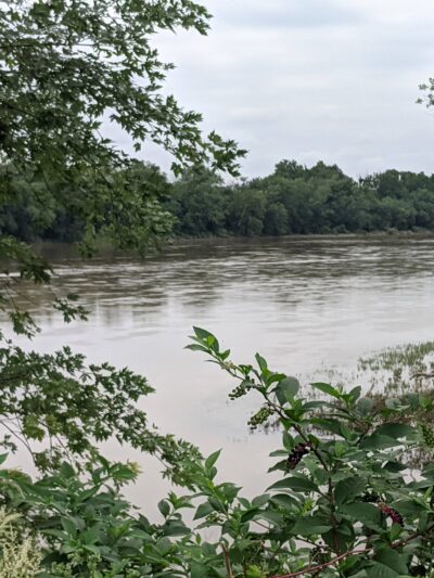 F.Q. Hartman Recreation Area - Danville, PA