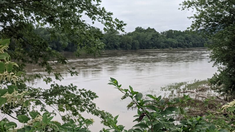 F.Q. Hartman Recreation Area - Danville, PA