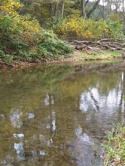 Hess Recreation Area - Danville, PA