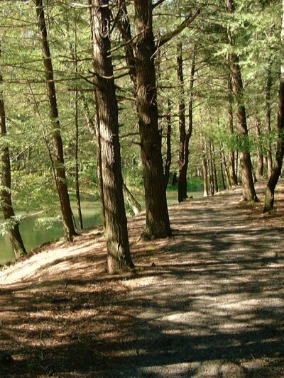 Hess Recreation Area - Danville, PA