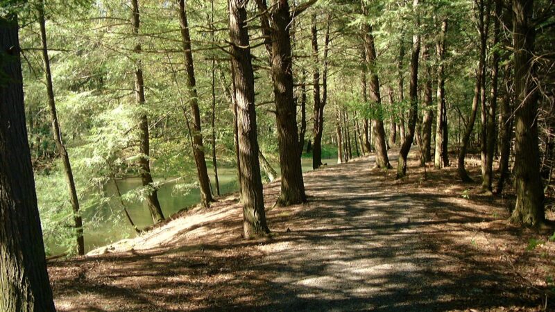 Hess Recreation Area - Danville, PA