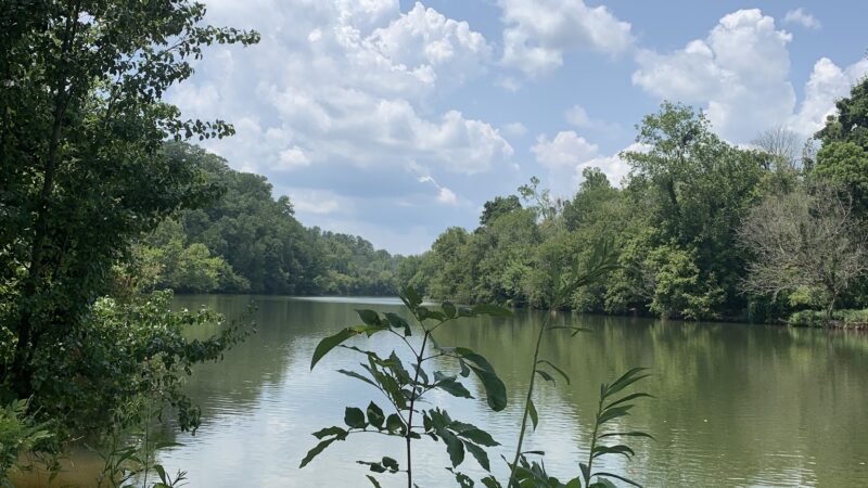 Abreu Grogan Park - Danville, VA