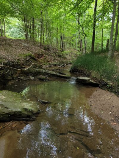 Anglers Park - Danville, VA