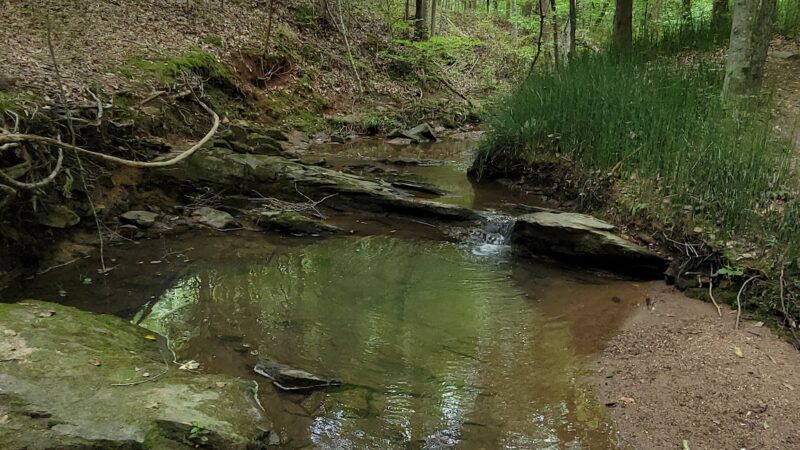 Anglers Park - Danville, VA