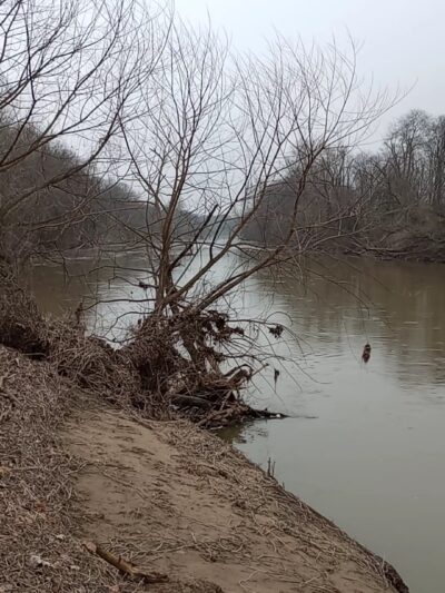 Anglers Park - Danville, VA