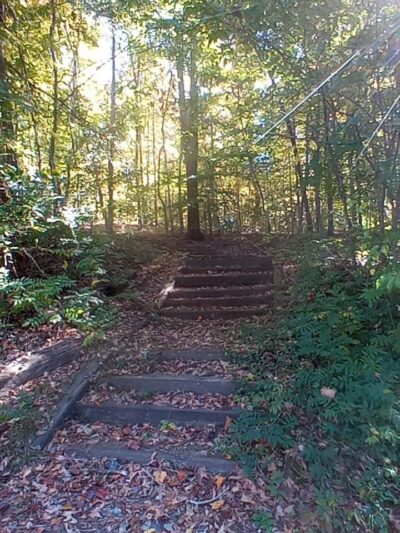Ballou Park Shelter 10 - Danville, VA