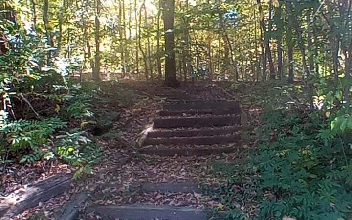 Ballou Park Shelter 10 - Danville, VA