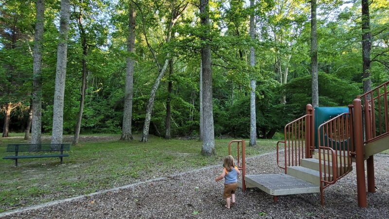 Druid Hills Park - Danville, VA