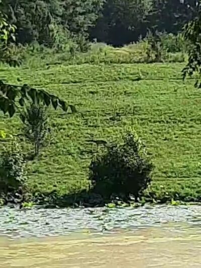 Evans Park - Danville, VA